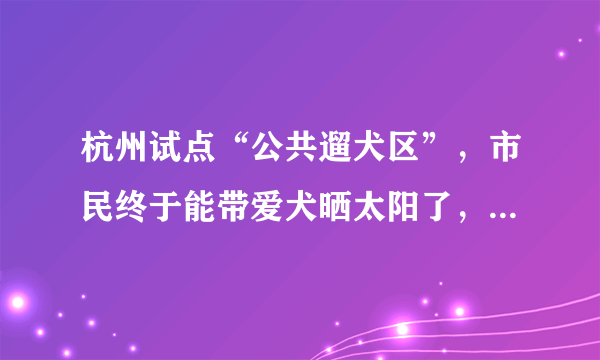 杭州试点“公共遛犬区”，市民终于能带爱犬晒太阳了，你怎么看？