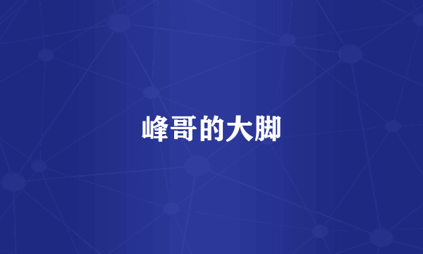 峰哥的大脚