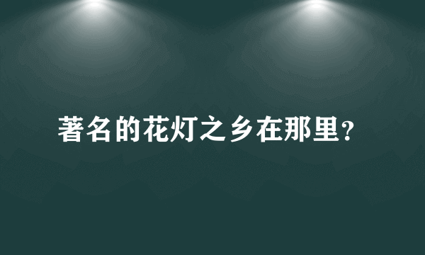 著名的花灯之乡在那里？