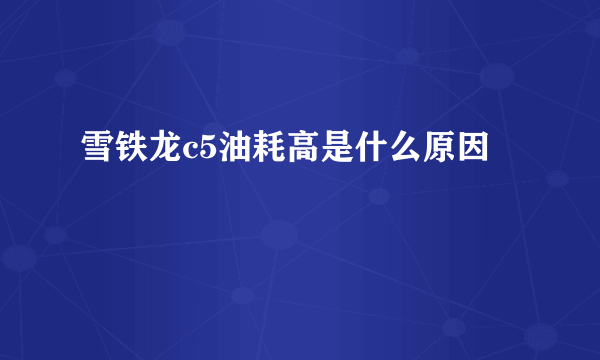 雪铁龙c5油耗高是什么原因