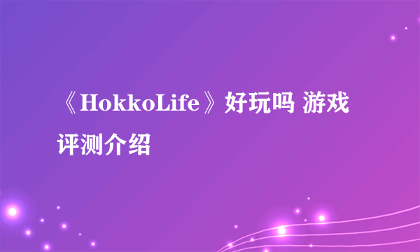 《HokkoLife》好玩吗 游戏评测介绍