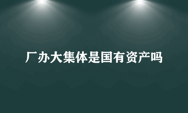 厂办大集体是国有资产吗