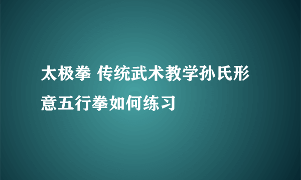 太极拳 传统武术教学孙氏形意五行拳如何练习