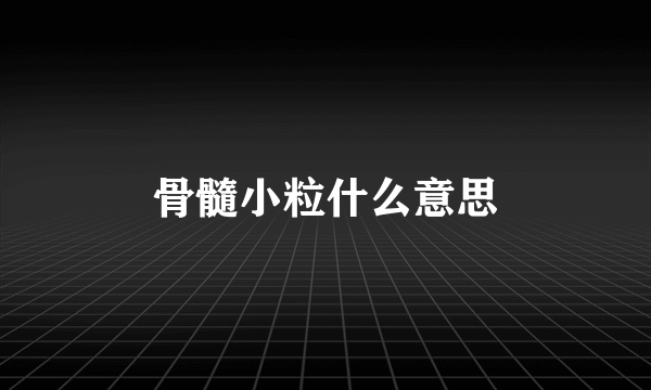 骨髓小粒什么意思