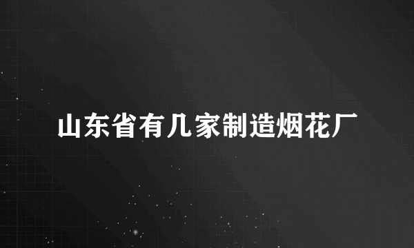 山东省有几家制造烟花厂