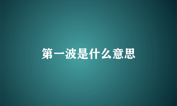 第一波是什么意思