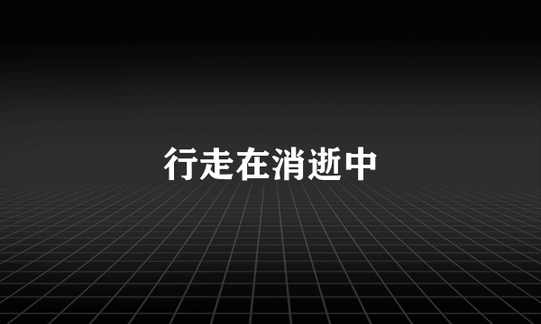 行走在消逝中