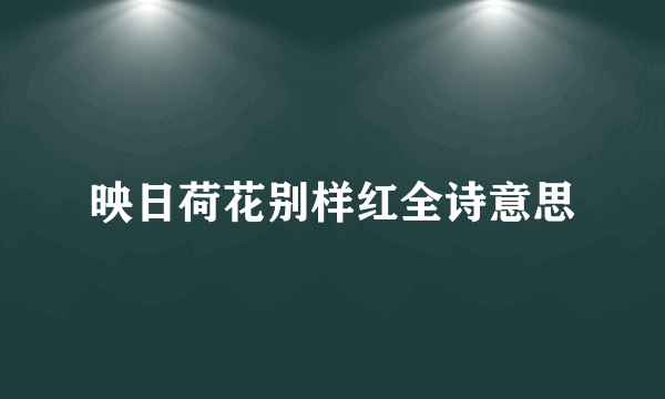 映日荷花别样红全诗意思
