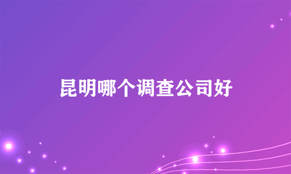 昆明哪个调查公司好