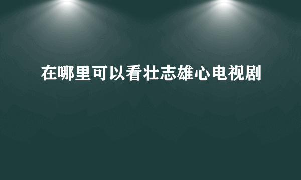 在哪里可以看壮志雄心电视剧