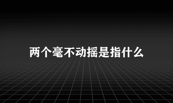 两个毫不动摇是指什么