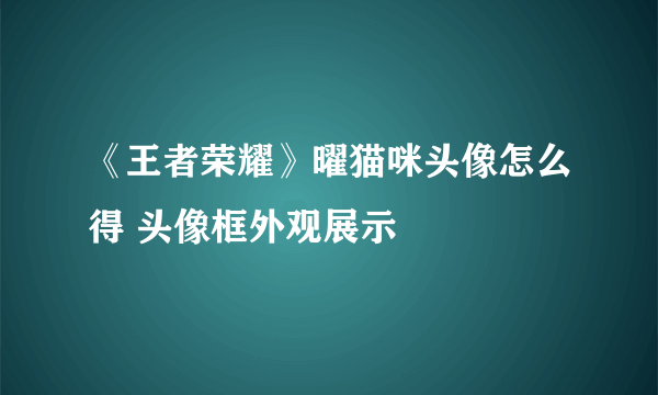 《王者荣耀》曜猫咪头像怎么得 头像框外观展示