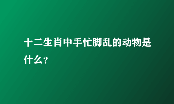十二生肖中手忙脚乱的动物是什么？