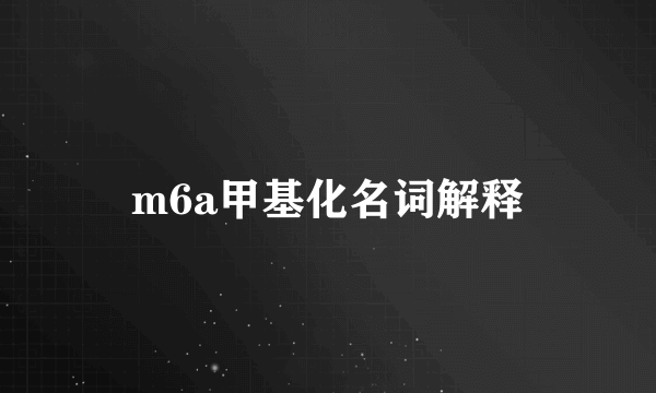 m6a甲基化名词解释