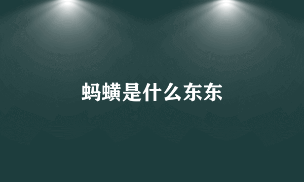 蚂蟥是什么东东