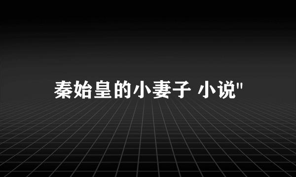 秦始皇的小妻子 小说