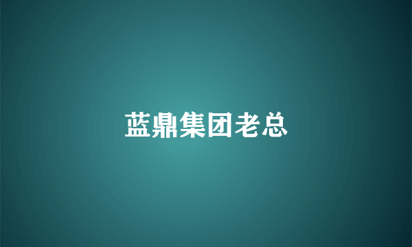 蓝鼎集团老总