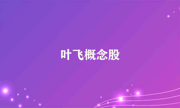 叶飞概念股