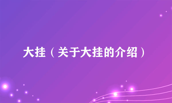 大挂（关于大挂的介绍）