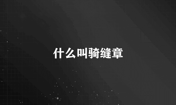 什么叫骑缝章