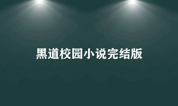 黑道校园小说完结版