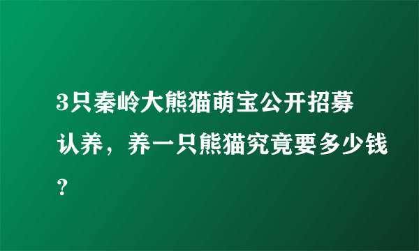 3只秦岭大熊猫萌宝公开招募认养，养一只熊猫究竟要多少钱？