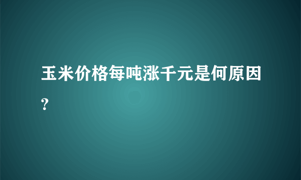 玉米价格每吨涨千元是何原因？