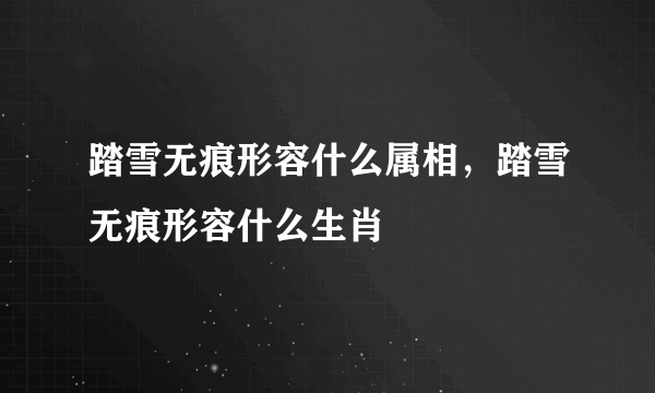 踏雪无痕形容什么属相，踏雪无痕形容什么生肖
