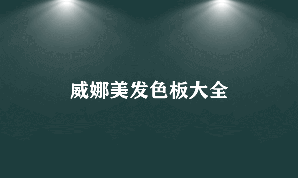 威娜美发色板大全