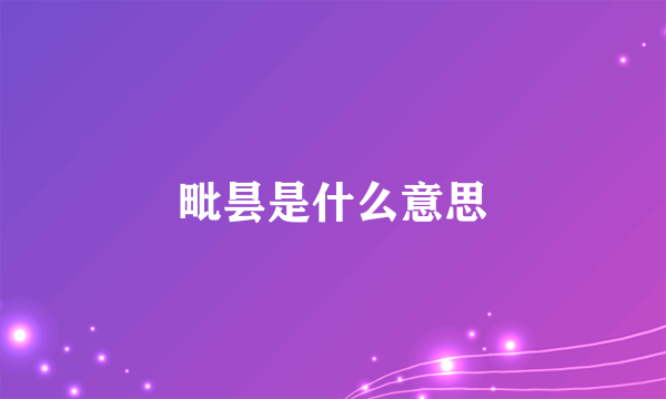 毗昙是什么意思