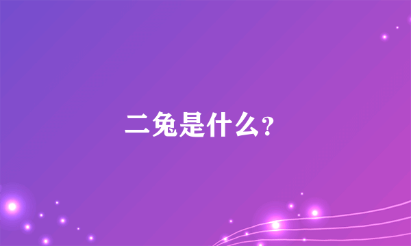 二兔是什么？