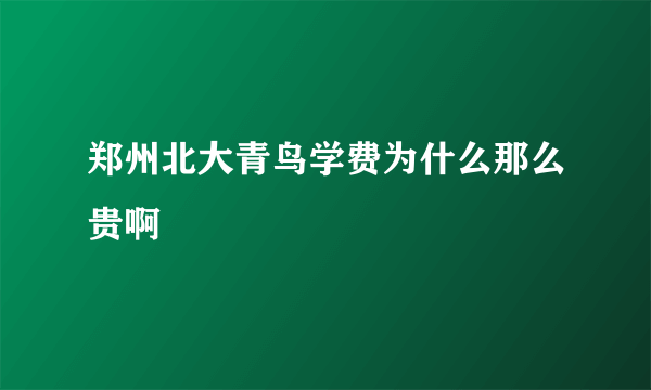 郑州北大青鸟学费为什么那么贵啊