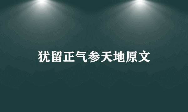 犹留正气参天地原文