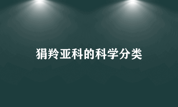 狷羚亚科的科学分类