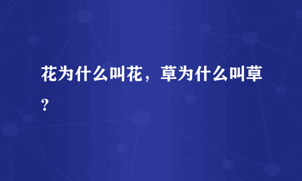 花为什么叫花，草为什么叫草？