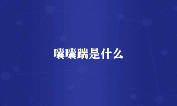 囔囔踹是什么