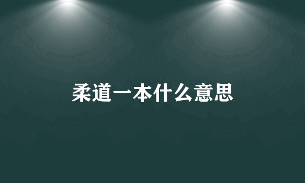 柔道一本什么意思