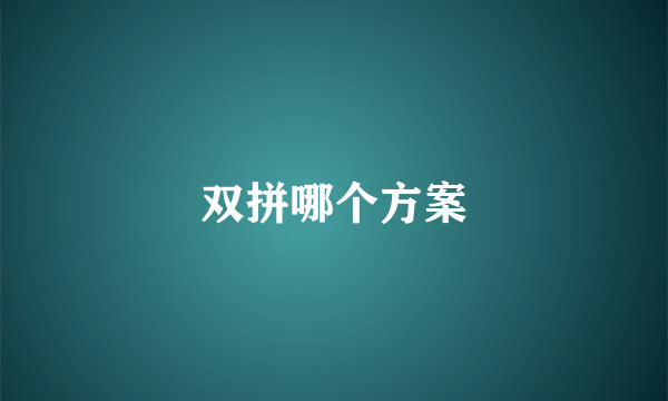 双拼哪个方案