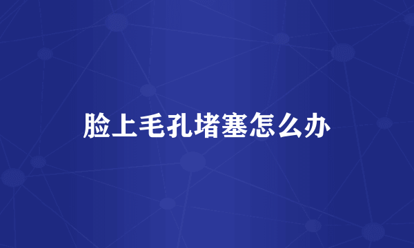 脸上毛孔堵塞怎么办