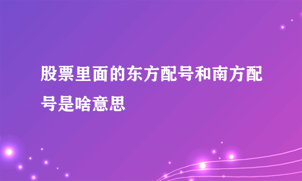 股票里面的东方配号和南方配号是啥意思