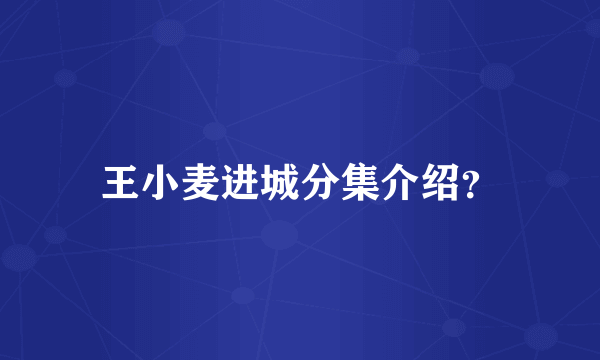 王小麦进城分集介绍？