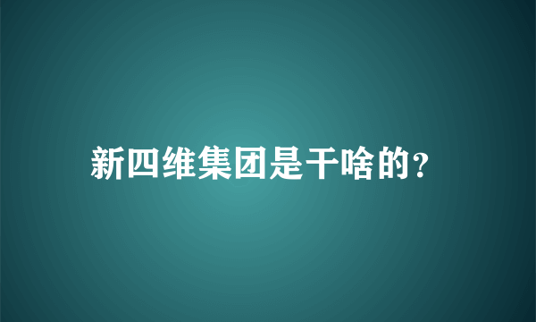 新四维集团是干啥的？
