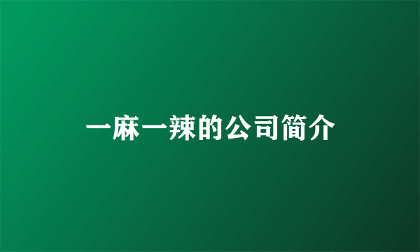 一麻一辣的公司简介