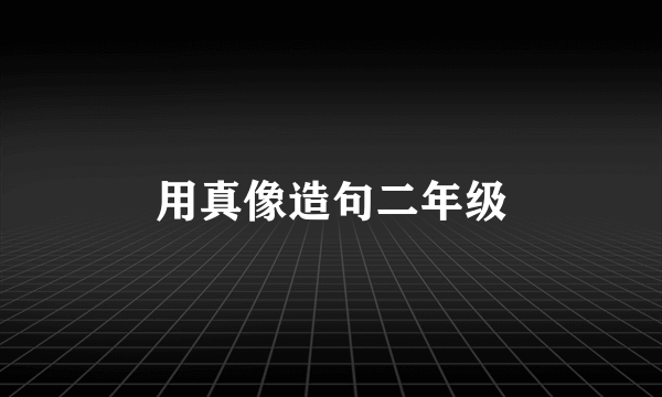 用真像造句二年级