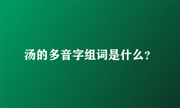汤的多音字组词是什么？