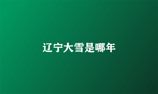 辽宁大雪是哪年
