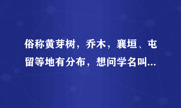 俗称黄芽树，乔木，襄垣、屯留等地有分布，想问学名叫什么，及其相关资料？