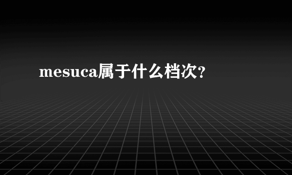 mesuca属于什么档次？