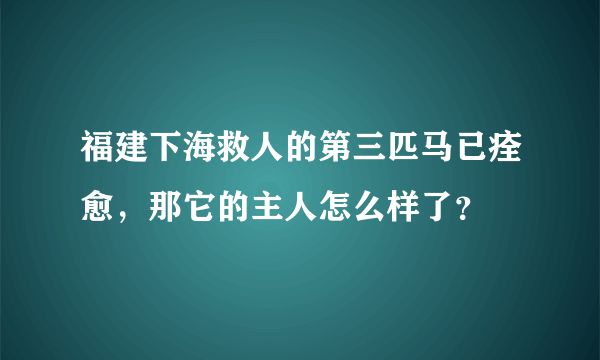福建下海救人的第三匹马已痊愈，那它的主人怎么样了？