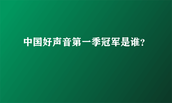 中国好声音第一季冠军是谁？